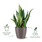 brussels diamond round 16cm white